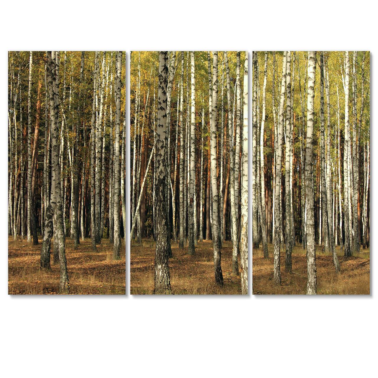 Designart - Green Fall Forest with Thick Trees - Forest Canvas Art Print